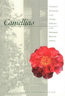Camellias by Ann Richardson