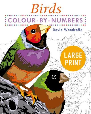 Large Print Colour by Numbers Birds: Easy-to-Read book