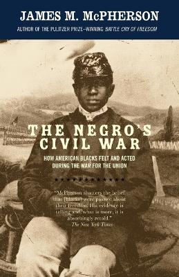 Negro's Civil War book