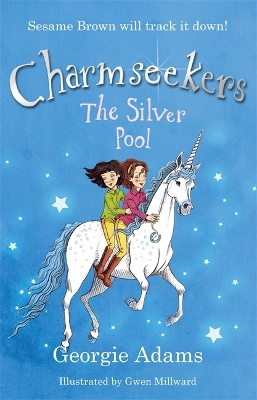 Charmseekers: The Silver Pool book