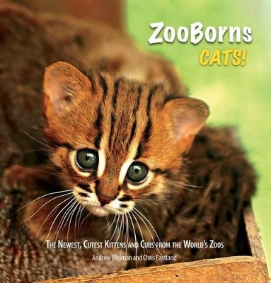 ZooBorns Cats! by Andrew Bleiman