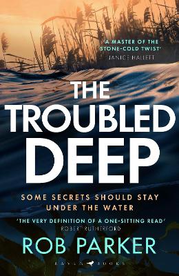 The Troubled Deep: 'A master of the stone-cold twist' Janice Hallett book