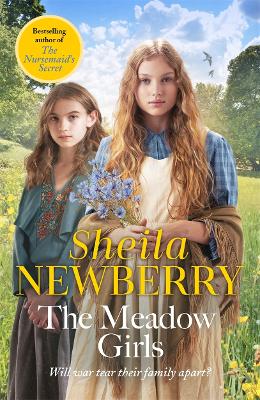 The Meadow Girls: A heartwarming World War I saga book