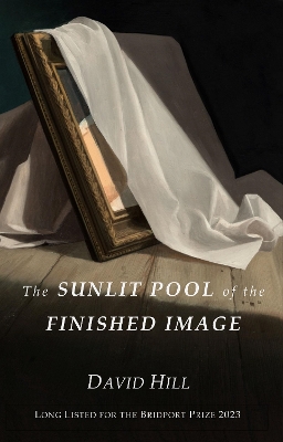 The Sunlit Pool of the Finished Image book