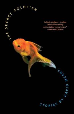 The Secret Goldfish by David Means