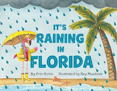 It's Raining in Florida book