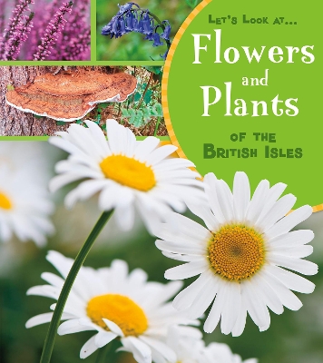 Flowers and Plants of the British Isles by Lucy Beevor