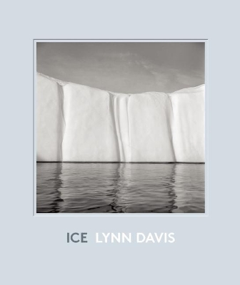 Ice: 1986-2007 book