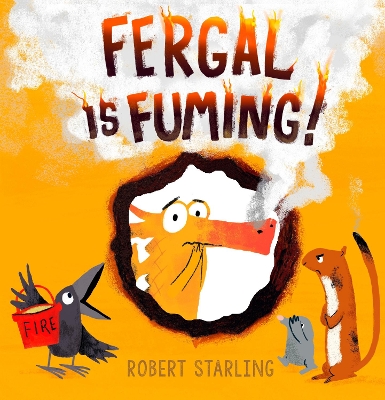 Fergal is Fuming! book