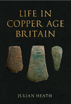 Life in Copper Age Britain book
