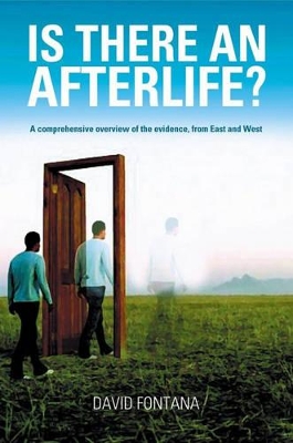 Is There an Afterlife? book