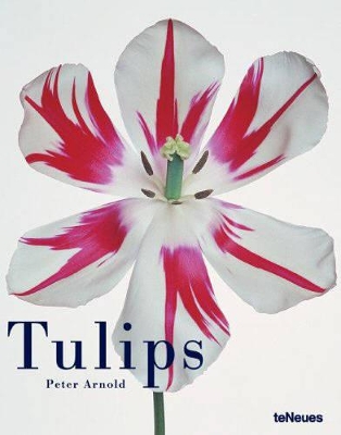 Tulips book