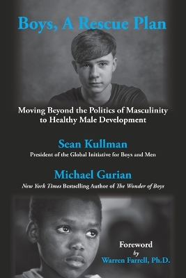 Boys, A Rescue Plan: Moving Beyond the Politics of Masculinity to Healthy Male Development book