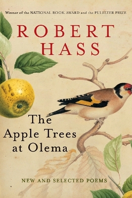 Apple Trees at Olema book