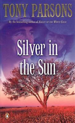 Silver In The Sun book