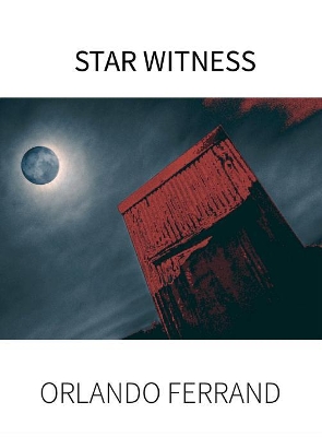 Star Witness book