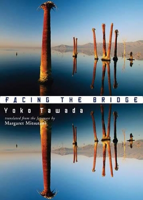 Facing the Bridge book