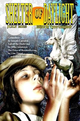 Shelter of Daylight July 2023 book
