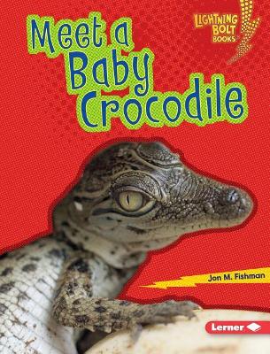 Meet a Baby Crocodile book