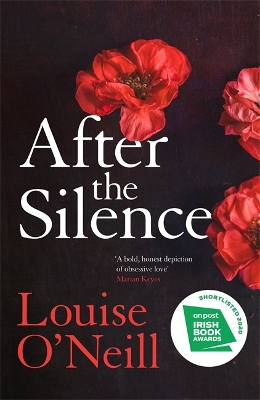 After the Silence book