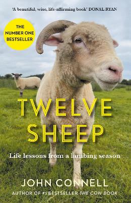 Twelve Sheep: Life lessons from a lambing season by John Connell