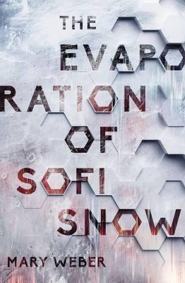 Evaporation of Sofi Snow by Mary Weber