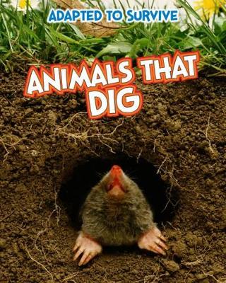 Adapted to Survive: Animals that Dig by Angela Royston