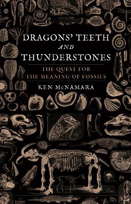 Dragons’ Teeth and Thunderstones: The Quest for the Meaning of Fossils book