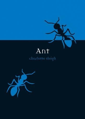 Ant book