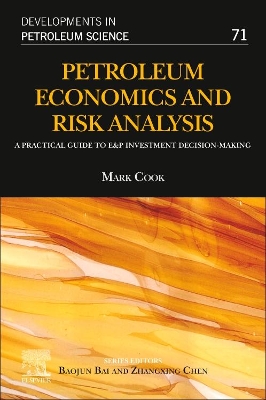 Petroleum Economics and Risk Analysis: A Practical Guide to E&P Investment Decision-Making: Volume 71 book