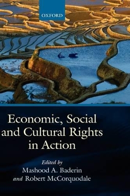Economic, Social, and Cultural Rights in Action book