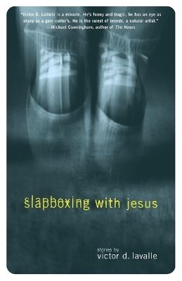 Slapboxing with Jesus book