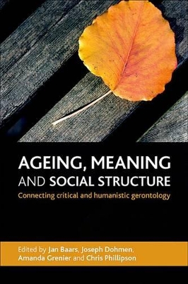 Ageing, meaning and social structure by Jan Baars