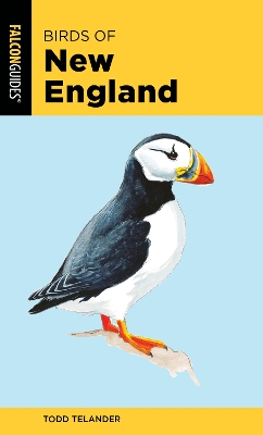 Birds of New England book