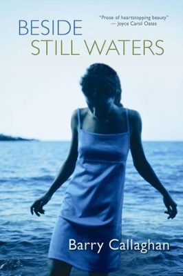 Beside Still Waters book