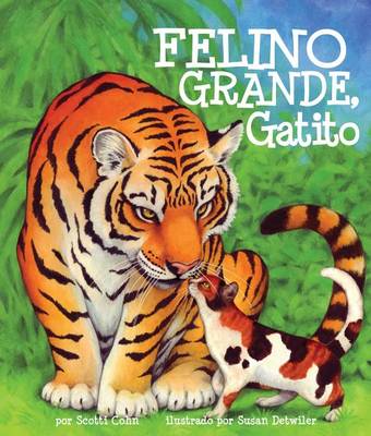 Felino Grande, Gatito by Scotti Cohn