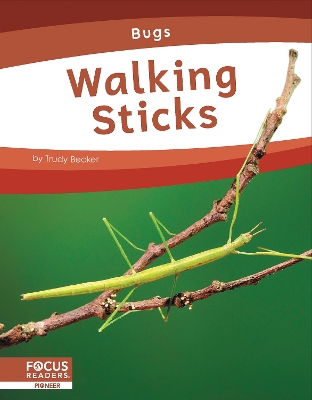 Bugs: Walking Sticks by Trudy Becker