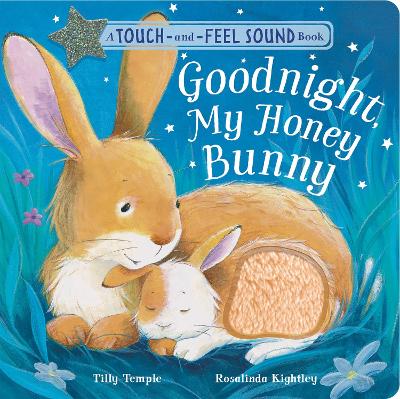 Goodnight My Honey Bunny book