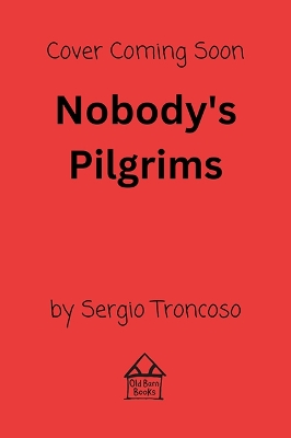 Nobody's Pilgrims book