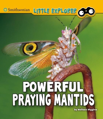 Powerful Praying Mantids book