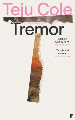 Tremor: 'Dazzling.' Deborah Levy by Teju Cole