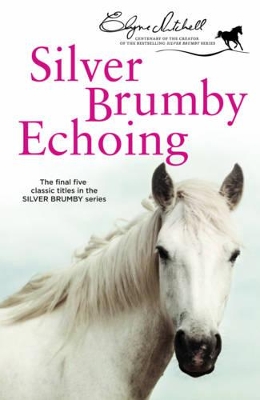 Silver Brumby Echoing book