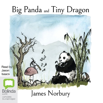 Big Panda and Tiny Dragon book