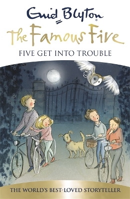 Five Get Into Trouble book
