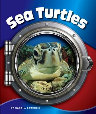 Sea Turtles book