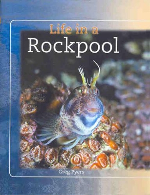 Life in a Rockpool book