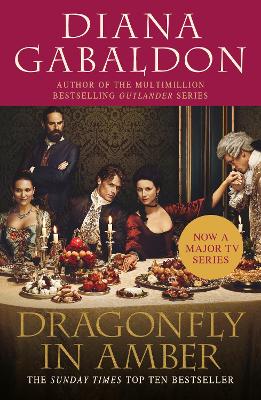 Dragonfly In Amber book