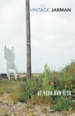 At Your Own Risk book