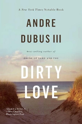 Dirty Love book