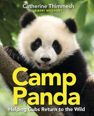 Camp Panda book